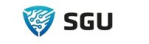 Storm Gray Unit logo